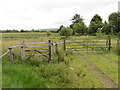 Llwybr ceffyl ger Onllwyn / A bridleway near Onllwyn