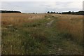 Field by Main Road, Hawkwell