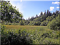 NH4757 : Jubilee Pond, Blackmuir Wood by Richard Dorrell