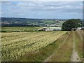 Track and field above Byermoor Farm