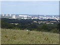 View from the hill above Sunniside