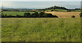 SX8463 : Farmland near Butterball Copse by Derek Harper