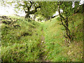 Old Lane holloway south of Judd Field, Langsett