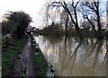 Flooded Mill Lane westwards