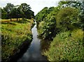 River Kelvin