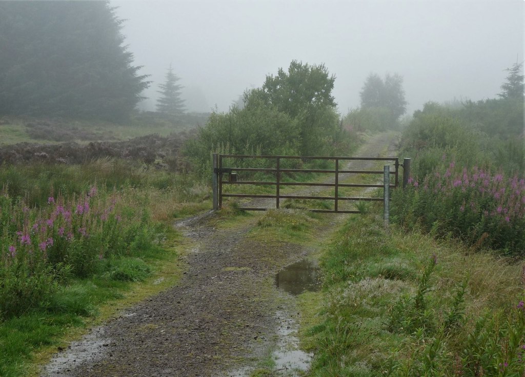 Misty Track On Touchadam Muir © Alan Reid Geograph Britain And Ireland