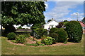 Ornamental planting beside Greenfield Crescent