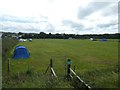 Camp site, on farm near Yelland