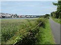 Tarka Trail and distant view of Bideford Long Bridge