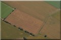 TF2556 : Cropmarks on fields near Coningsby: aerial 2020 (3) by Chris