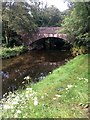 Yealm Bridge at Yealmbridge