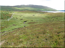 NN6665 : Deer fence at end of Loch Errochty by Chris Wimbush