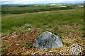NZ0408 : Cup and ring marked stone, Barningham Moor 13 by Andy Waddington