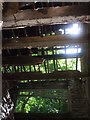 Sunlight streaming through the rafters