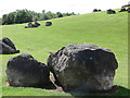 NZ3466 : Large Boulders, Redburn Dene, North Shields by Geoff Holland