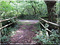 Llwybr Gelliwen / Gelliwen Path