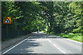 A323 Aldershot Road