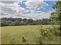 Field and Houses next to Chalkpit Lane