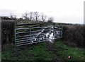 Entrance to field on west side of Waltham Lane