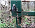 Padlocks and chain on Coach Roadgate in the woods