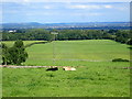 Fields near Monkton Farleigh