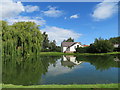 Tholthorpe pond