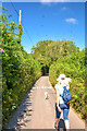 SX8043 : Stokenham : Country Lane by Lewis Clarke