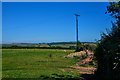 Slapton : Grassy Field