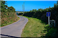 Slapton : Country Lane