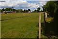 Path between paddocks at Hurdcott