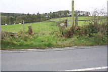 SE0137 : Former field gateway on SW side of Sun Lane by Roger Templeman