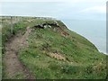 TA2372 : Eroded clifftop path near Thornwick Point by Christine Johnstone