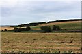 Hay Fields Of Tulloch