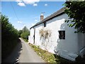 Cottage on White Lane