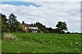 Bruisyard, Hernsey Wood Farm: The Farmhouse