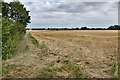 Peasenhall: Harvested cereal crop