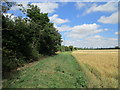 Footpath alongside the Sand Beck