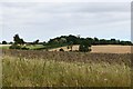 TM3465 : Rendham: Agricultural scene by Michael Garlick