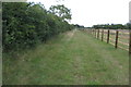 Footpath towards Halse Copse