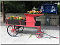 Floral Display, Earsdon