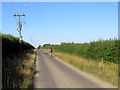 Grange Road: power lines and a cyclist