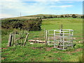 G?t fochyn yn Hengaer / Kissing gate at Hengaer