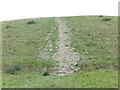 Path, Former Spoil Heap, East Holywell Colliery (Fenwick Pit)