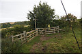 Kissing gate at Crow Wood