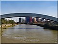 River Lea : view from Cody Dock