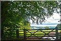 Combe Florey : Grassy Field & Gate