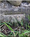 Benchmark on Sunny Bank Wall, Rainton