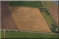 Cropmarks on field west of A153 north of Sleaford: aerial 2020 (1)