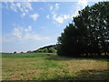 Field by the Gretton Brook