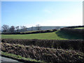 Farmland at Lower Ffrydd